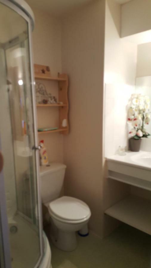 Residence Vallee Des Lacs 勒索里 外观 照片
